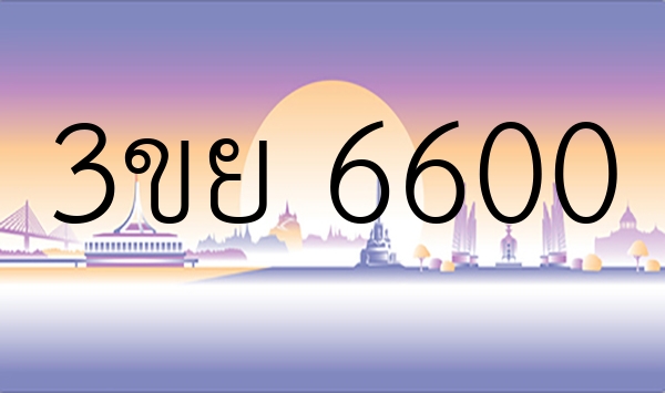 3ขย 6600